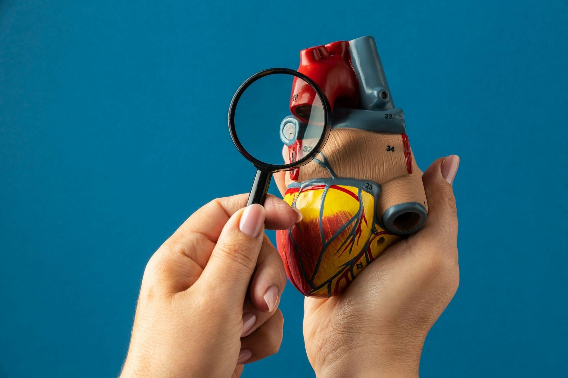 Cholesterol management (Image by Freepik on Freepik)
